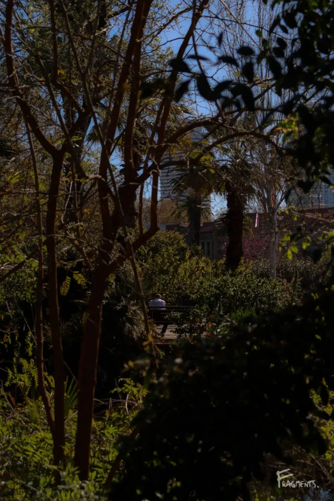 Voyage poétique et photographique à travers Barcelone : Un homme assis dans un parc de dos sur un banc au milieu de la nature