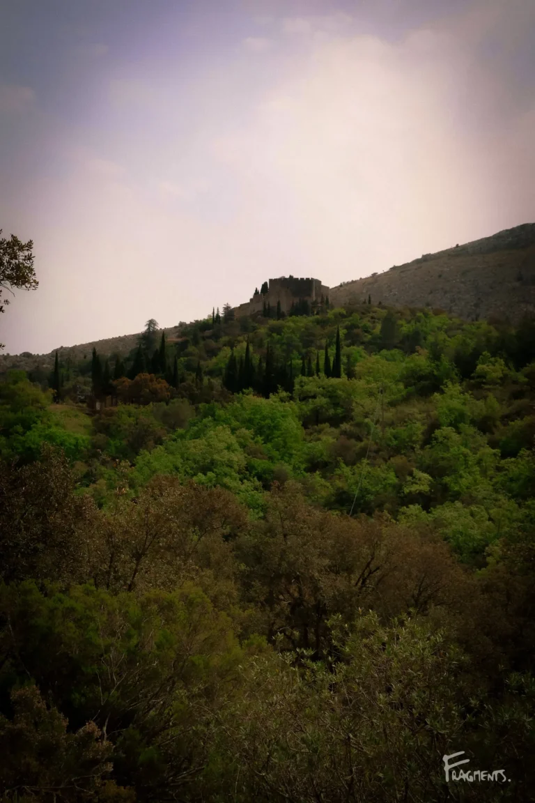 Voyage poétique et photographique à travers Castelnou : Maison au milieu de la nature d'un vert vif, dans les hauteurs Aspres