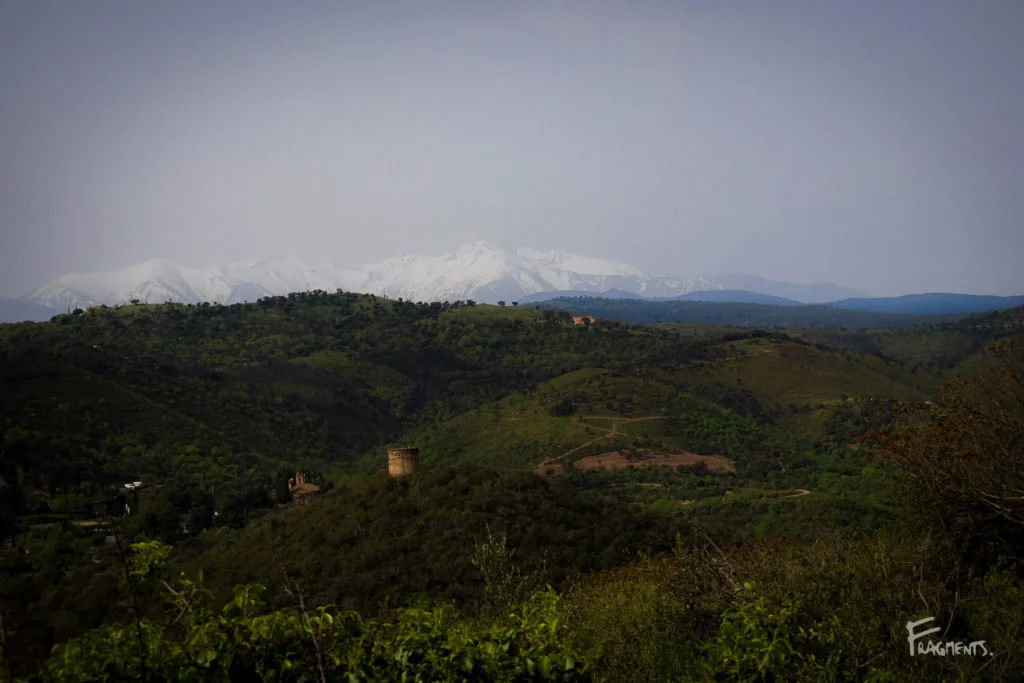 Voyage poétique et photographique à travers Castelnou : Les Aspres avec en fond le sommet du Canigo encore enneigé