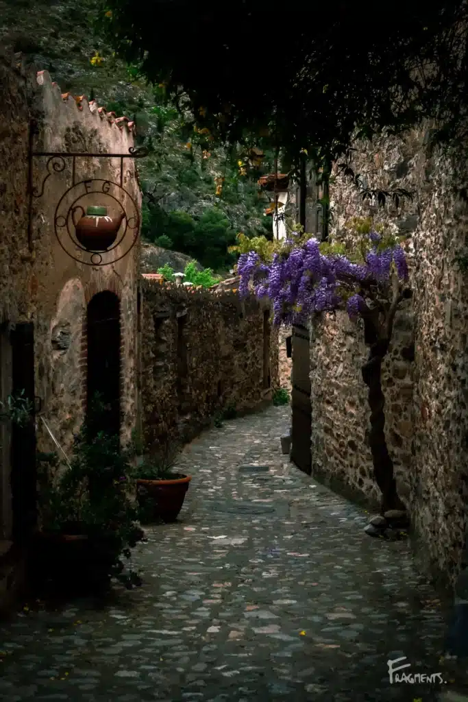 Voyage poétique et photographique à travers Castelnou : Ruelle en pierre avec glycines, contraste entre la matière et la couleur violette