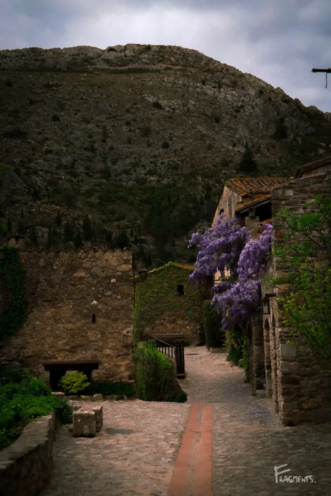 Voyage poétique et photographique à travers Castelnou : petite place de village, avec un banc vide et une glycine fleurie